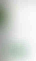 Mobile Optimized Site