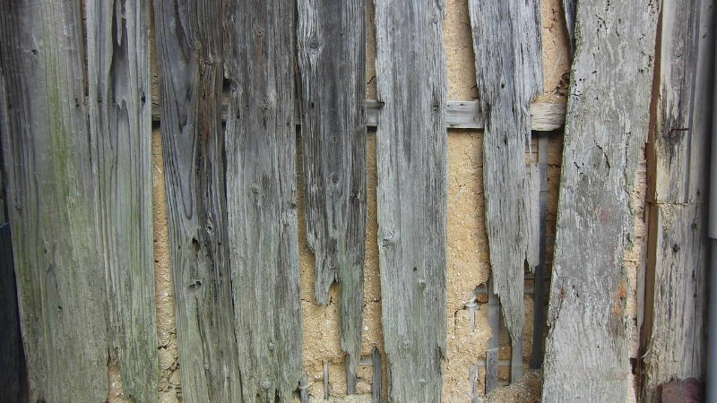 We Buy Termite Damage Home in Texas | Ninebird Properties