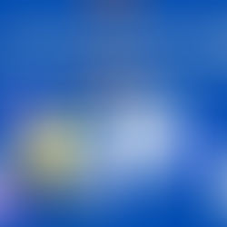 Best AI Tools for Content Creation in 2026