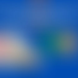 Common Mistakes to Avoid in Pest Control SEO