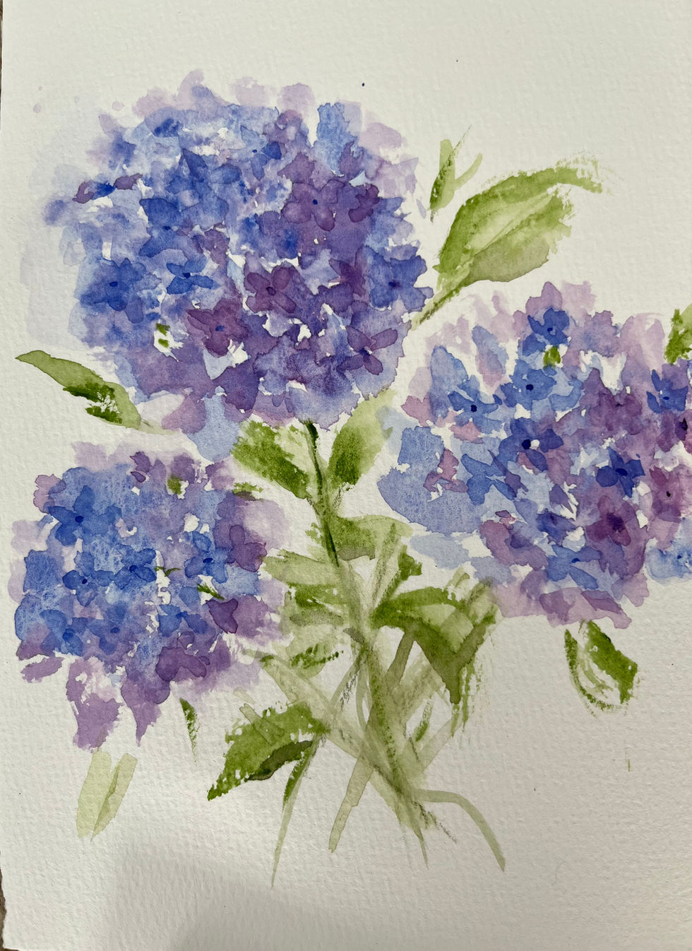 "Garden Dreams" watercolor