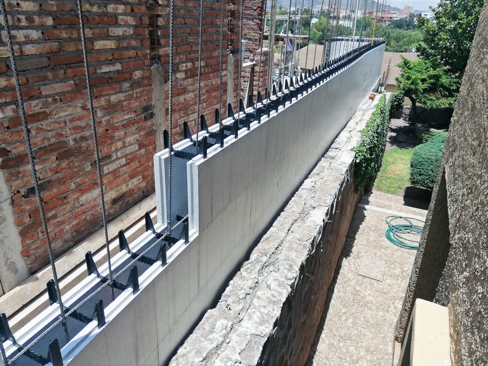 ICF MEXICO