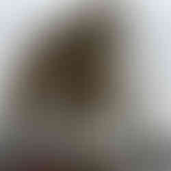 Edificio de 14 pisos de ICF en Canada