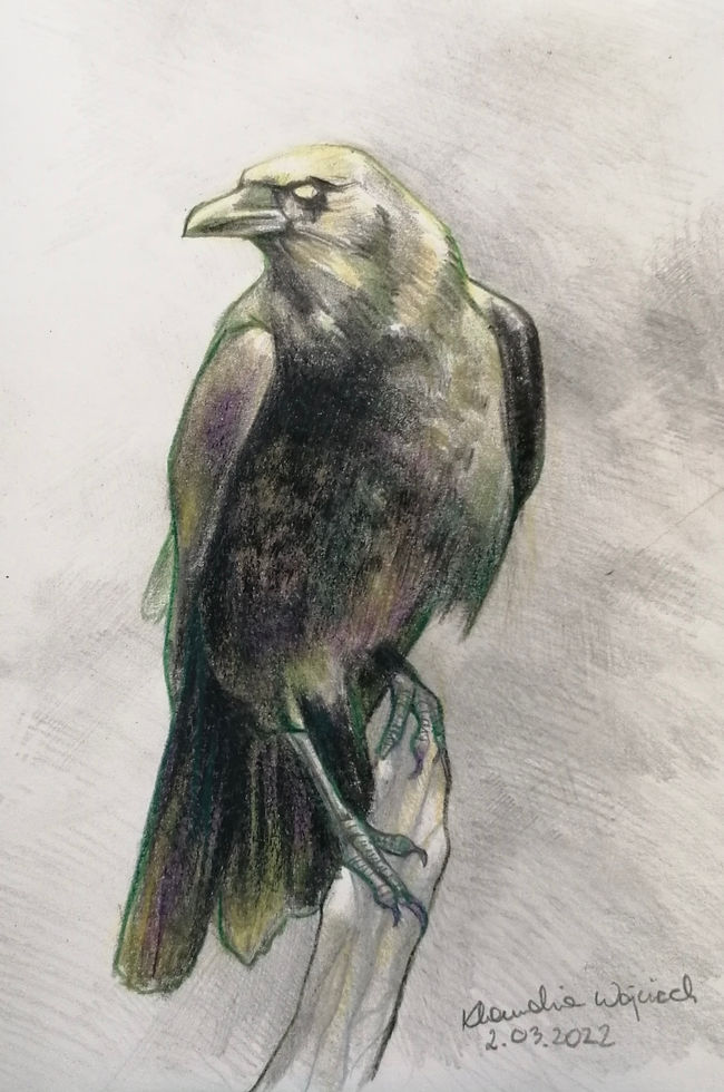Watercolour and sketches
