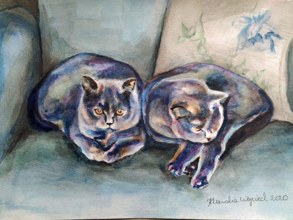 British blue