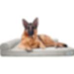 Pet Fusion New Better Lounge (Slate Grey) 44x34x3.5 Inch