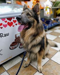 IMG_20180428_174804_Bokeh