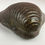 Thumbnail: hamaguri clam seto food container detail-6