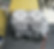 Twin-engine-and-lightened-pistons-004.jp
