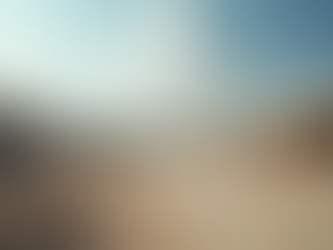 Transform Your Property with Site Clearing Solutions