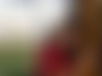 Celebrating 20 Years: a reflection of sorts