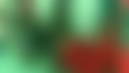 Spectacle de Noël offert aux maternelles