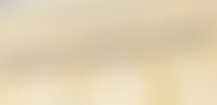 Cérémonie remise DNB