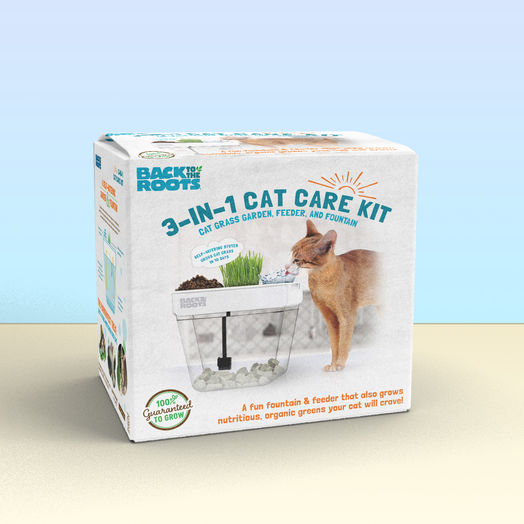 Back to the Roots, Oakland, Bay Area, Graphic Design, Digital Ads, Packaging Design, Adobe Illustrator, Adobe Photoshop, San Francisco, Bay Area