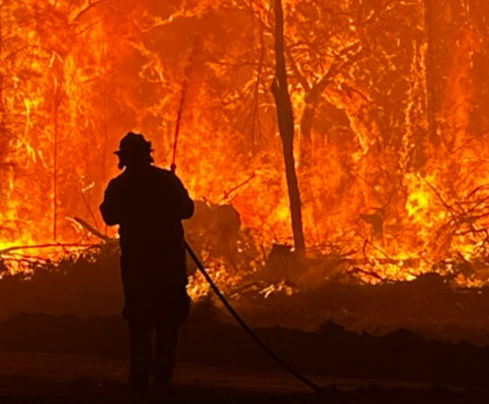 IMG_6409 (1)_edited.jpg