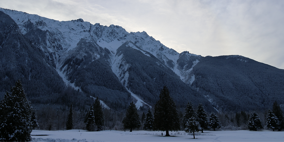 0B1A0305 (2)_edited.png