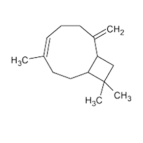 Caryophyllene-Web.png
