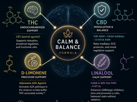 Part 6 — The Four-Layer Synergy