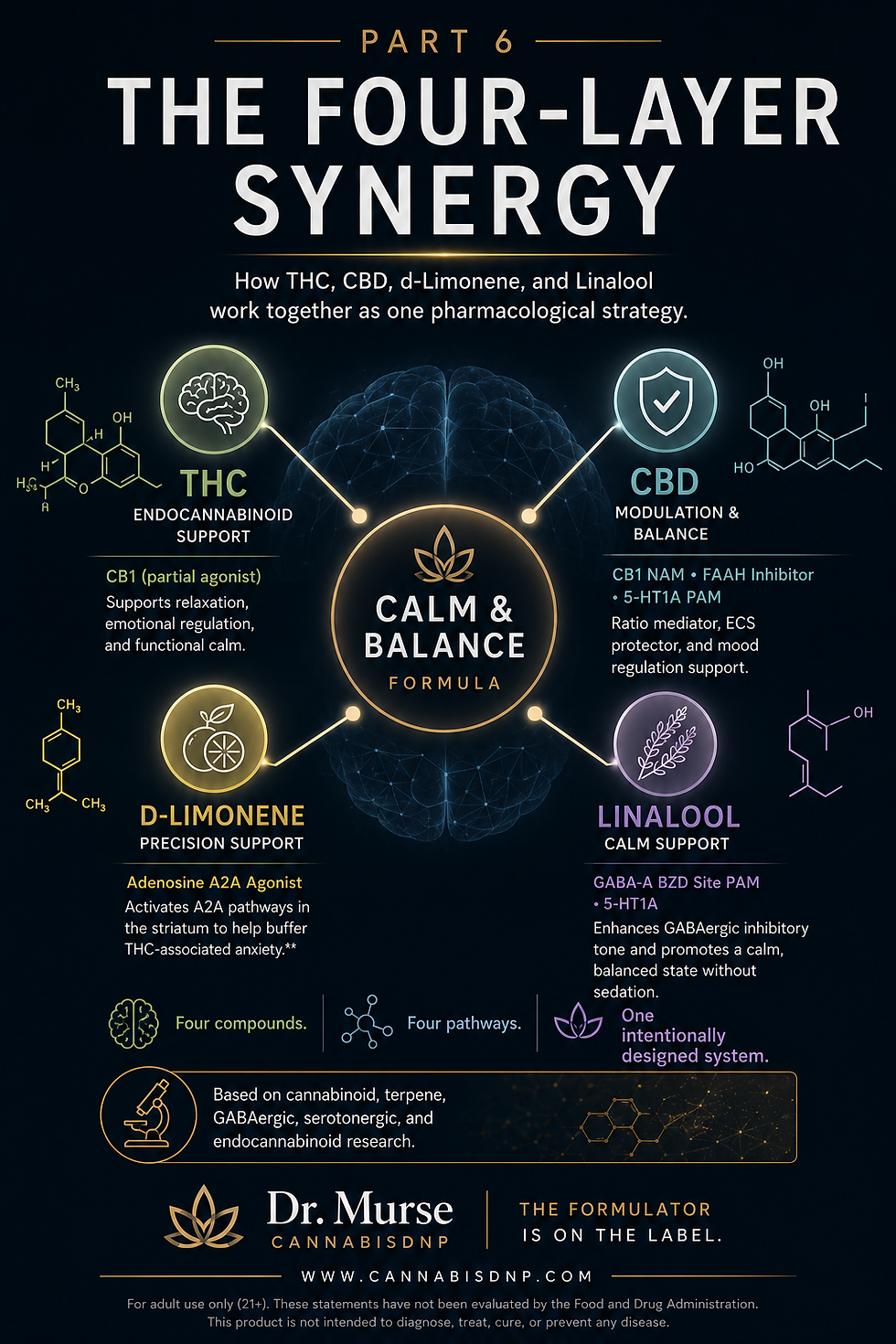 Part 6 — The Four-Layer Synergy