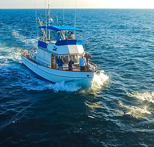 Catalina-21.jpg