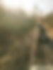 ATV Tours