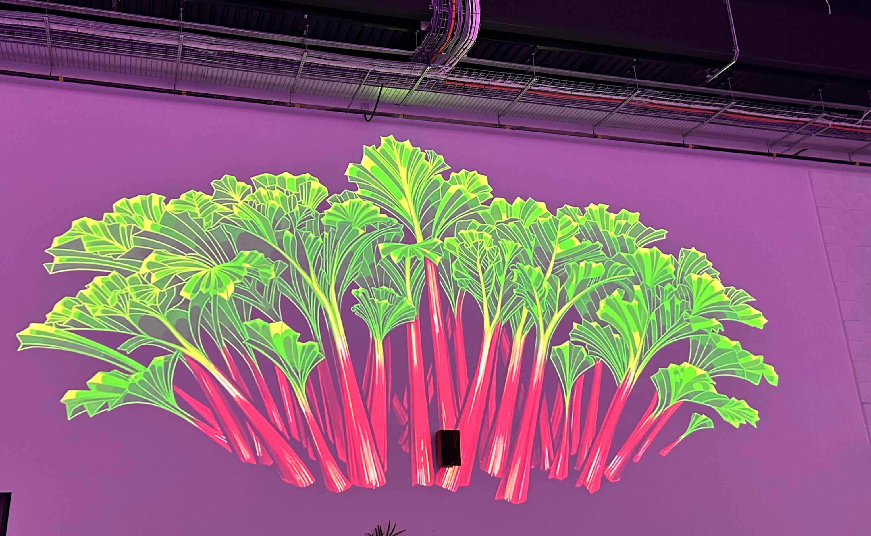 Dinnewell’s Rhubarb Gin Creams