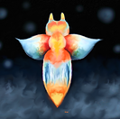 sea angel.png