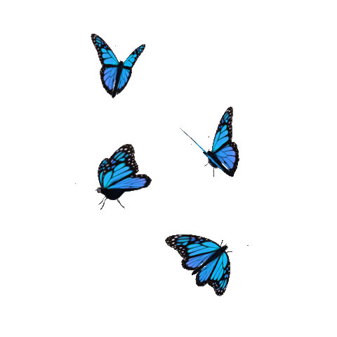 5c39915736c68fc98b3bd54a181bd230.gif