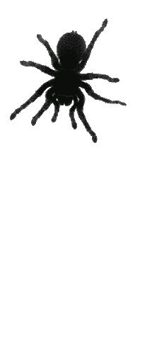 33fd094fd495745cf38c4fe89a92a1e8.gif