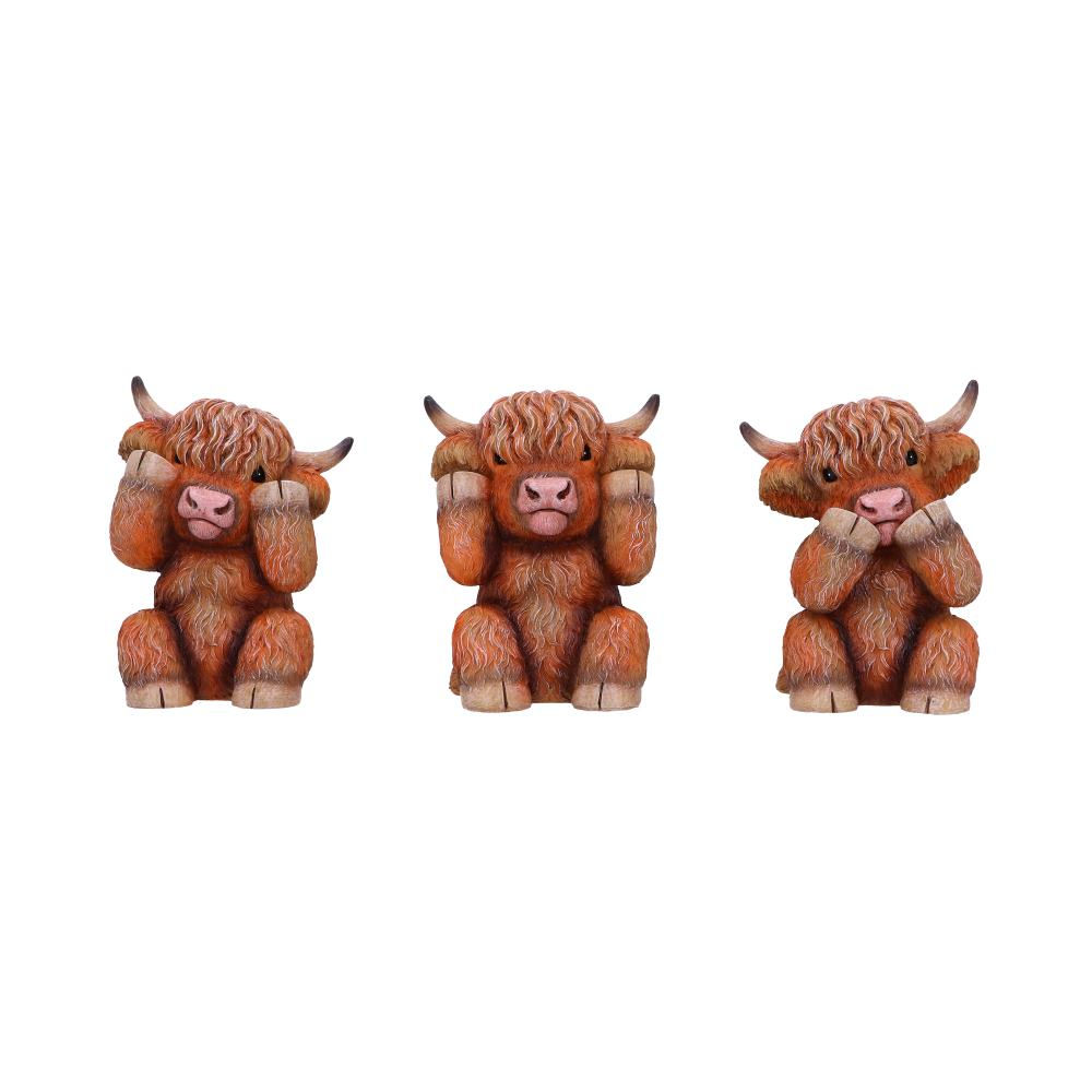 Three Wise Highland Coos 9.6cm