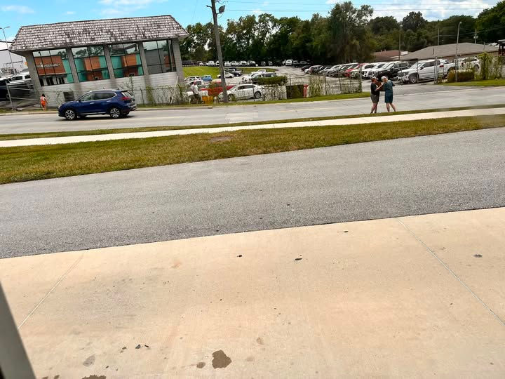 Kittens Allegedly Thrown From Vehicle Near Hawaiian Bros. in St. Joseph; Two Rescued