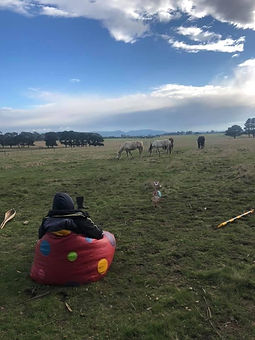 photo josh bean bag with horses in paddock.jpg
