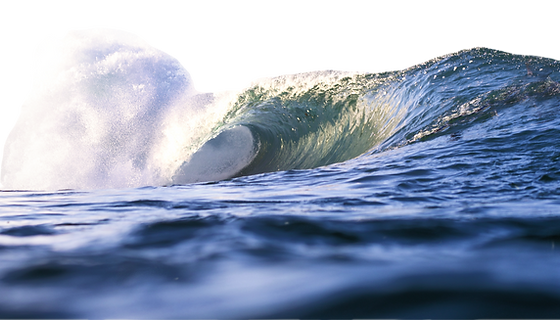 pexels-noah-munivez-9406937_edited_edited.png