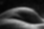 Bodyscapes (untitled #02)