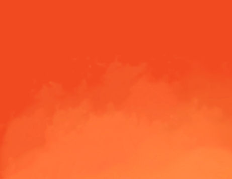 orange1_edited.jpg