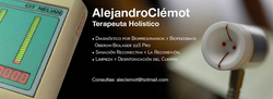 Terapeuta Holístico