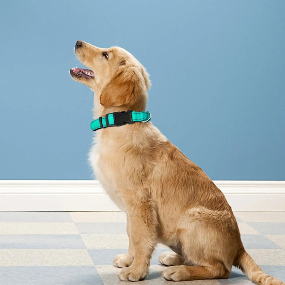 Dog Collar Adjustable Soft