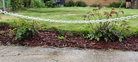 Green GFL lawn landscaping with mulch and plants