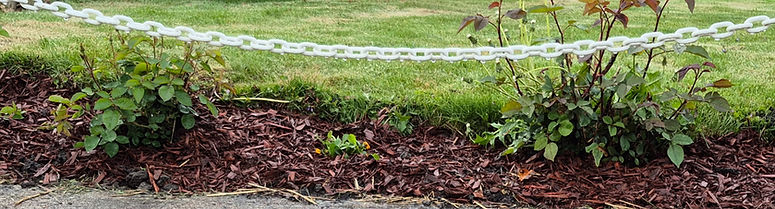 Green GFL lawn landscaping with mulch and plants