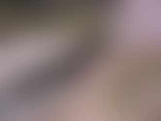 【高山】5月2日~4日の宿泊予約ありがとうございました。