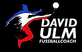 Logo David Ulm Fussballcoach