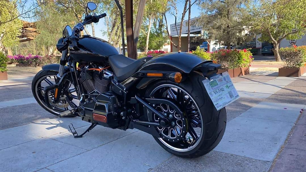 Miniatura: BREAK OUT 2019