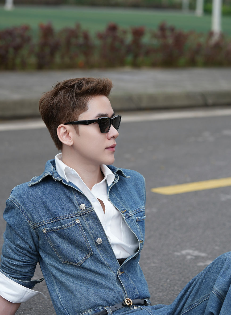 Hình thu nhỏ: Ysl