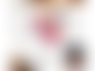 Blog on Cedric the Entertainer's AC BBQ Seasoning