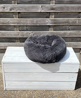 77F0E455-CE2B-4062-8D4F-1901A4582D8A_1_1