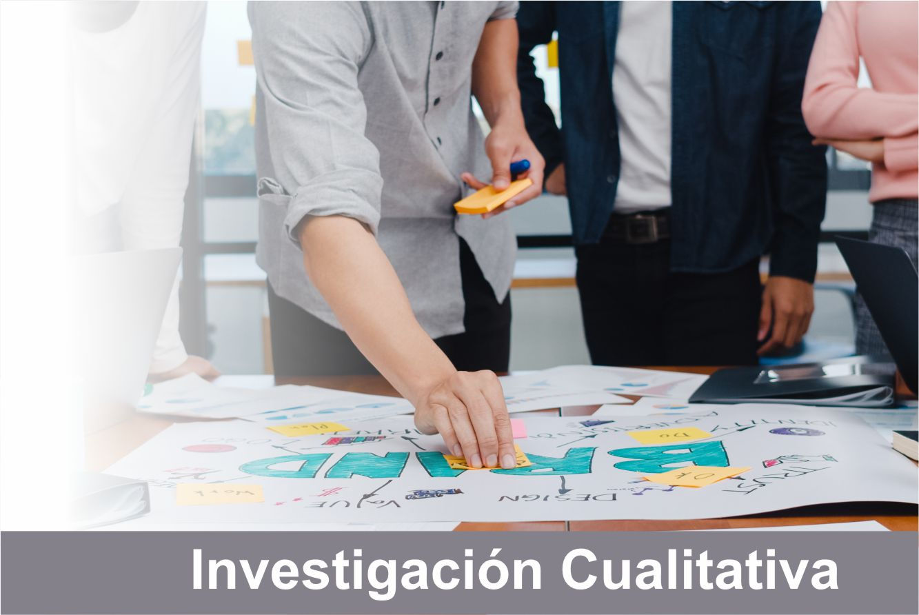 Investigación Cualitativa