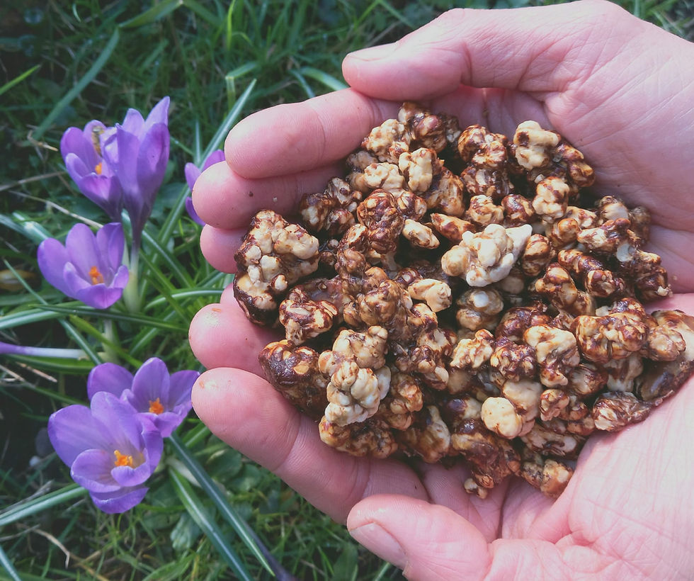 psilocybin truffle ceremony