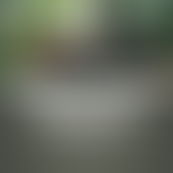 Nature Temple psilocybin retreat types