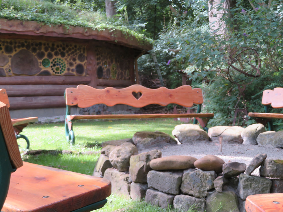 Masterclass Psychedelic Retreats