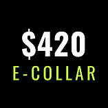 Black and Neon Green Simple Icon Services Logo (6).png